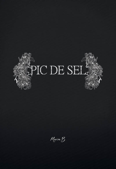 Pic-de-sel3