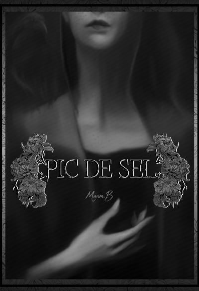 couverture Pic de sel1