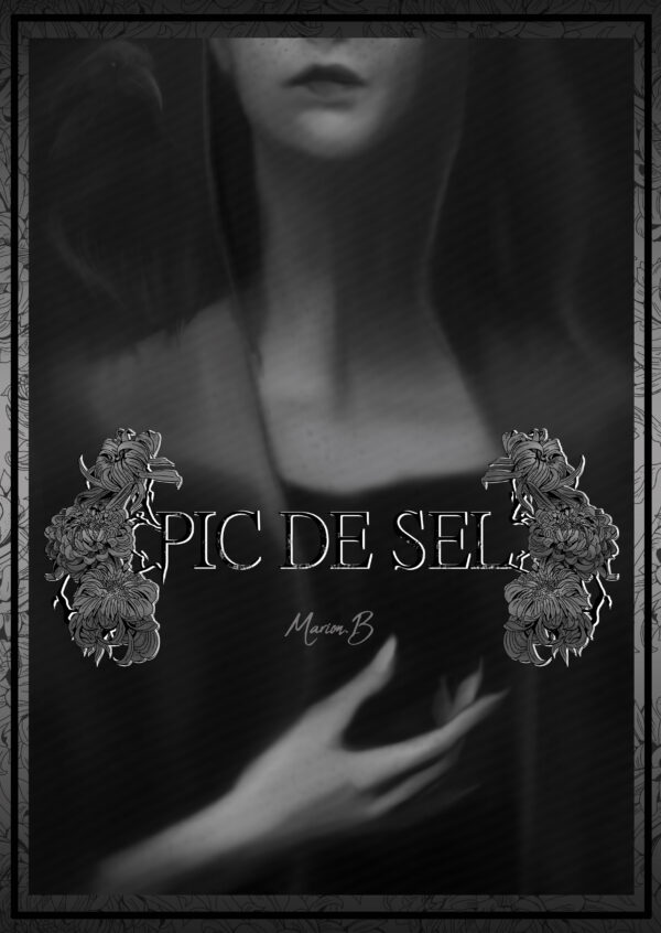 couverture Pic de sel1
